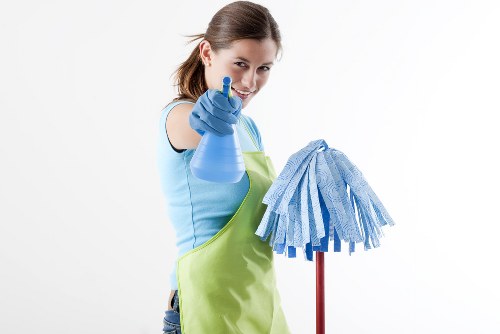Professional cleaners in Battersea providing detailed home and office cleaning