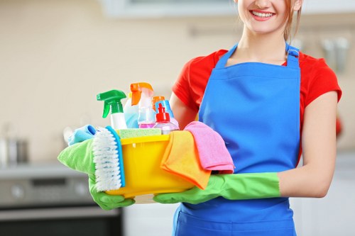 Professional oven cleaner service in Battersea kitchen