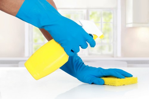 Kitchen and bathroom cleaning during a Battersea regular cleaning visit