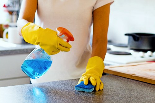 Local gutter cleaning service for properties near Battersea Park