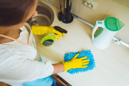 Professional cleaner in Battersea handling home cleaning tasks