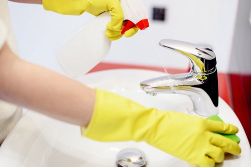 Deep cleaning in a Battersea living room