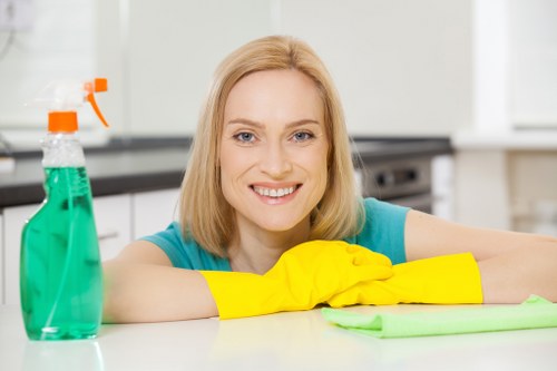 Stain removal and carpet care service in Battersea