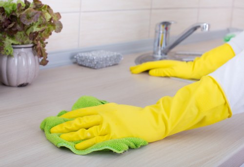 Regular household cleaning for a Battersea family home