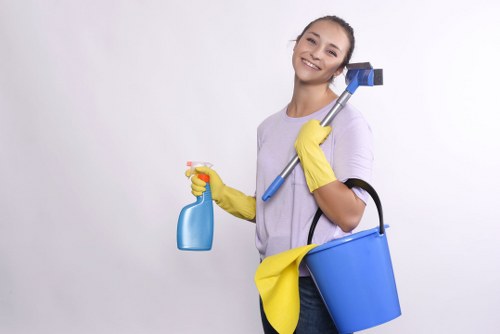 Battersea cleaner providing detailed deep cleaning in a modern apartment