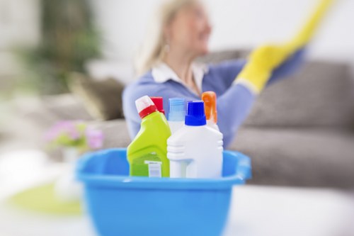Risk assessment process for a Battersea cleaning service