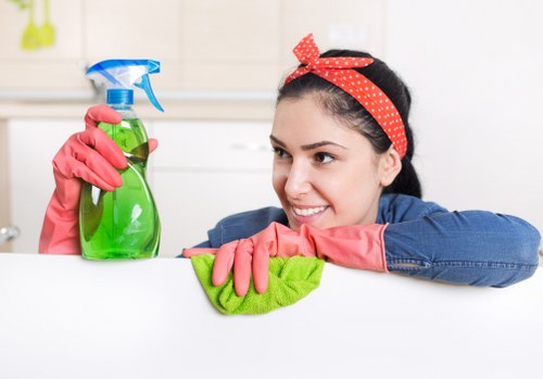 Professional curtain care for a Battersea apartment interior