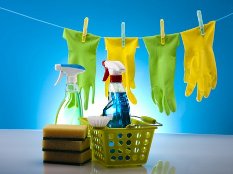 Tailored domestic cleaning service for Battersea families