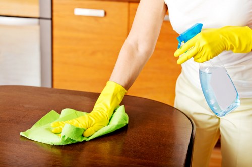Professional cleaner working during a scheduled visit